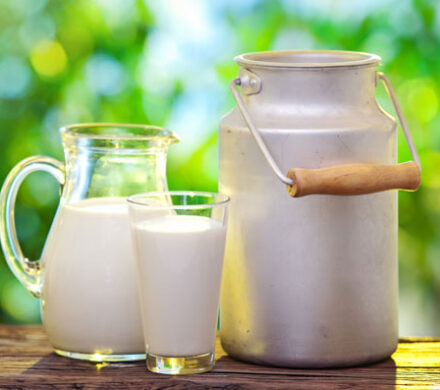 The export of dairy products increased by more than 60%