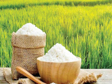 انجمن تولیدکنندگان و تامین‌کنندگان برنج رسما آغاز به کار کرد
