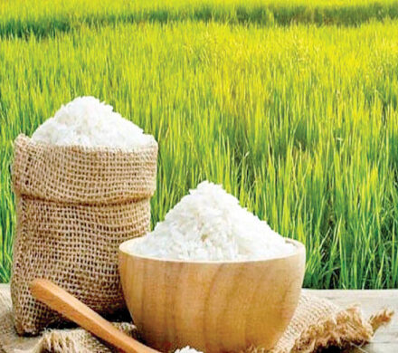 The Association of Rice Producers and Suppliers has officially started its work