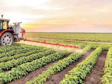 فرصت‌های توسعه صنایع تبدیلی در کشاورزی